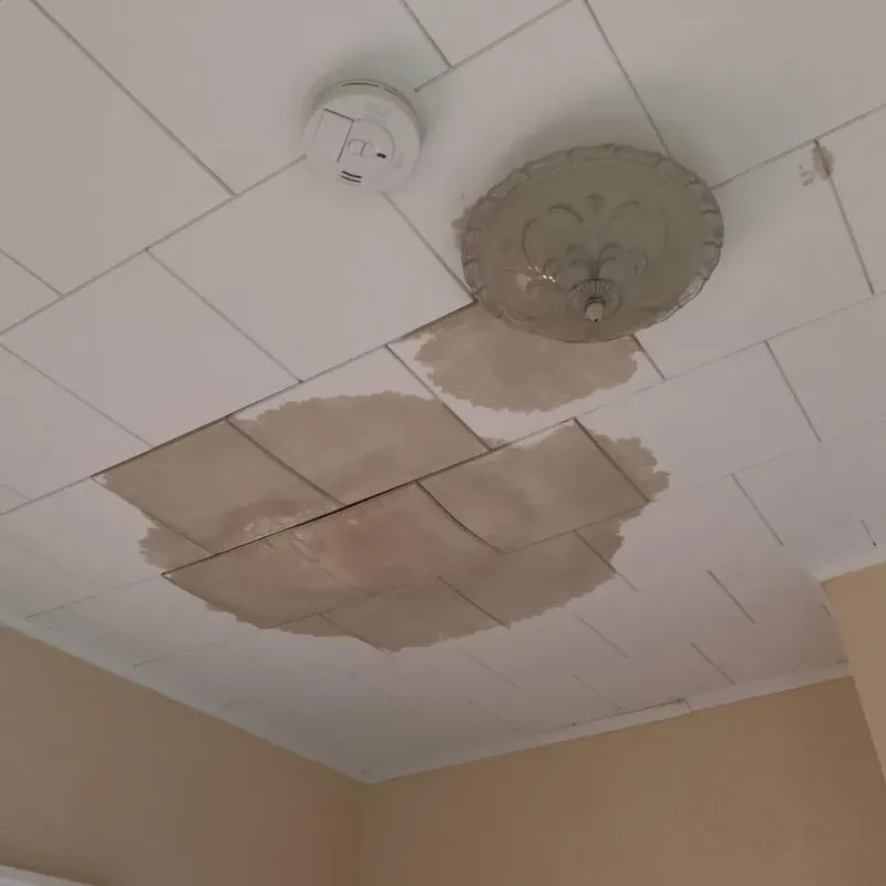 Ceiling Water Damage Repair in University Park, IL