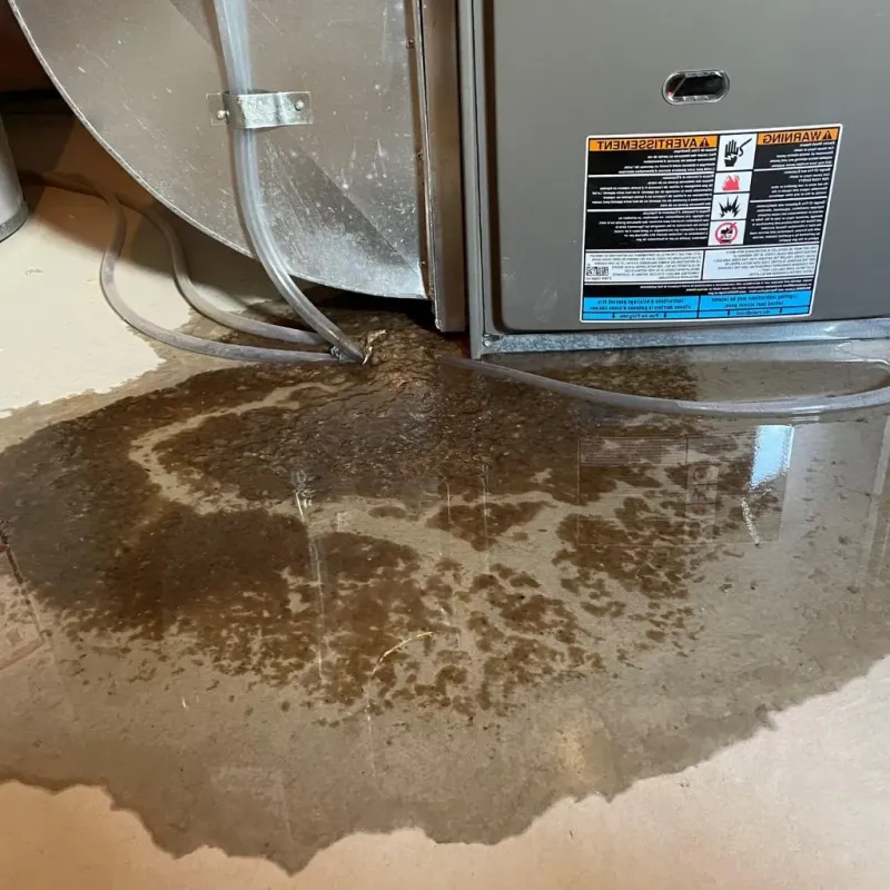 Pipe Burst and Leak Restoration in University Park, IL