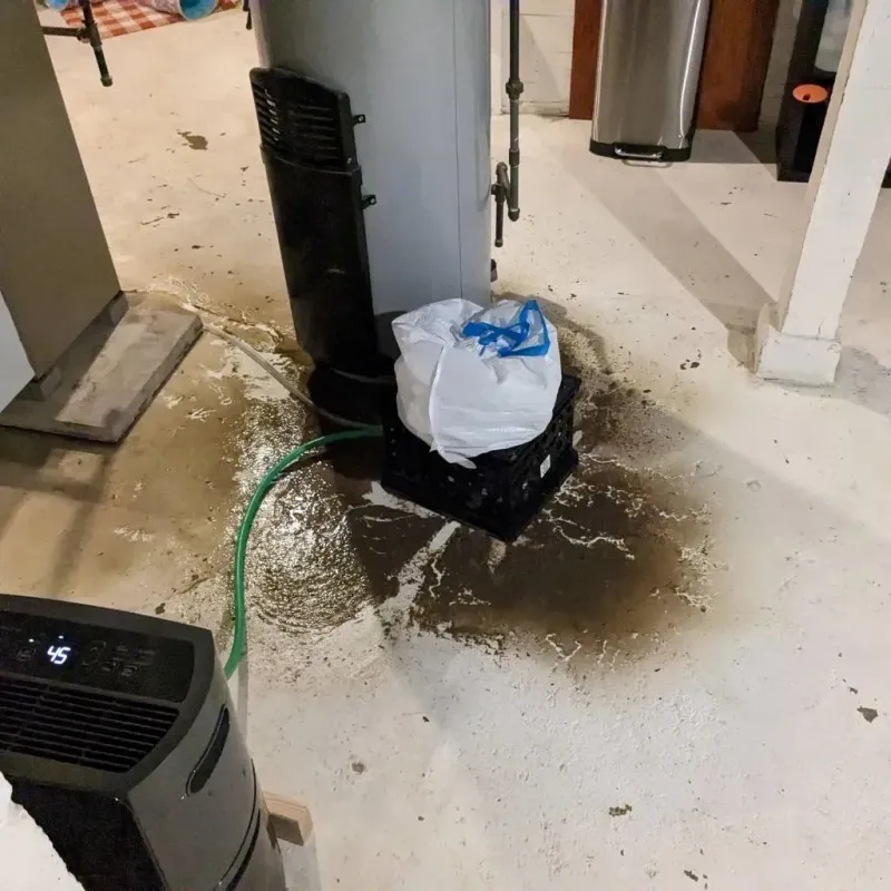 Sewage Backup Cleanup Service in University Park, IL